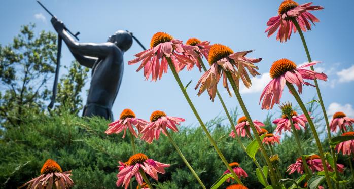 Flowers on campus