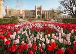 Flowers on campus