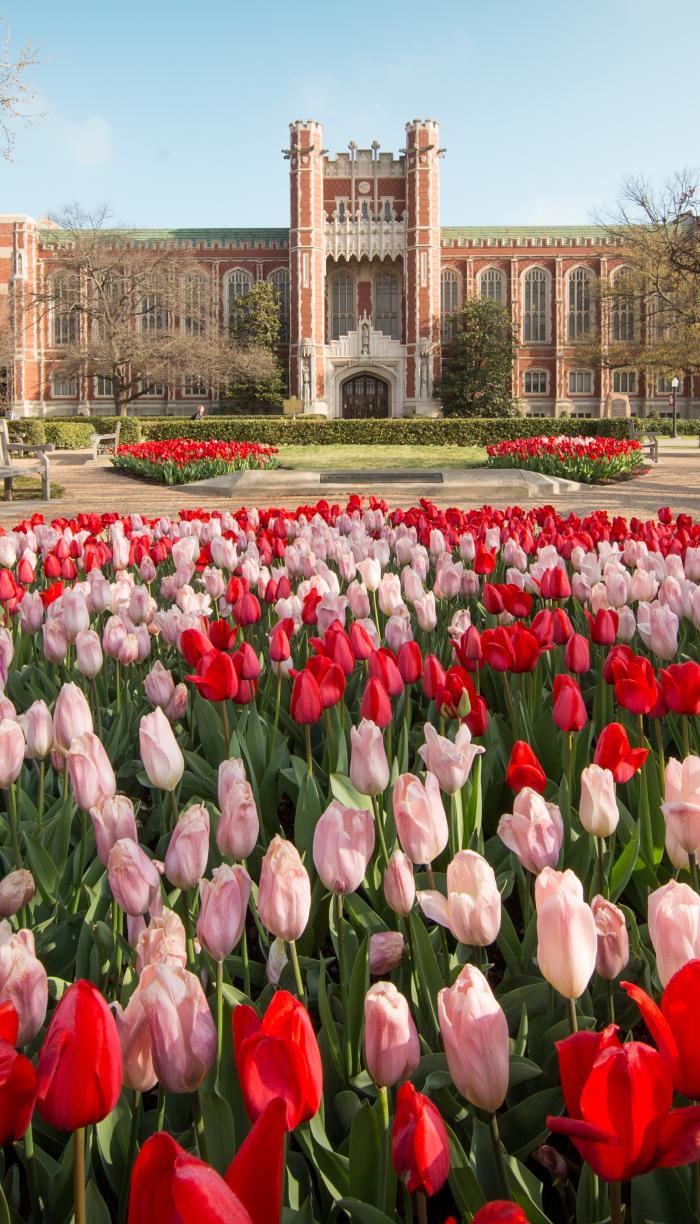 Flowers on campus